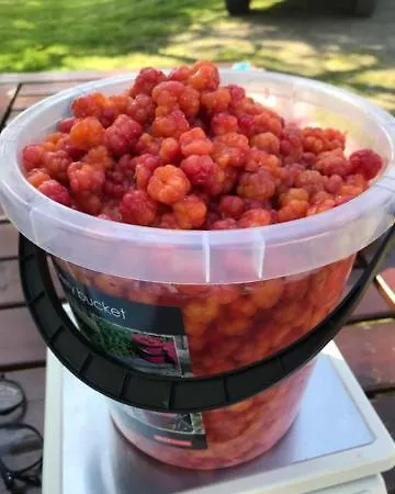 Gardshytten, Dverbergveien 143 Lodge *