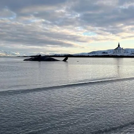 Lodge Gardshytten, Dverbergveien 143 Dverberg